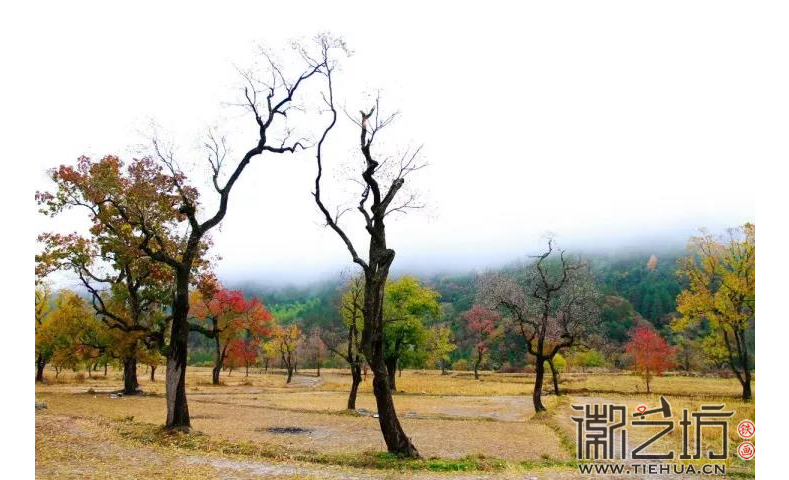 安徽省六安市金寨县天堂寨风景区